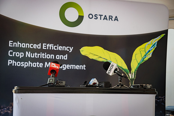 Ostara_cdp_475
