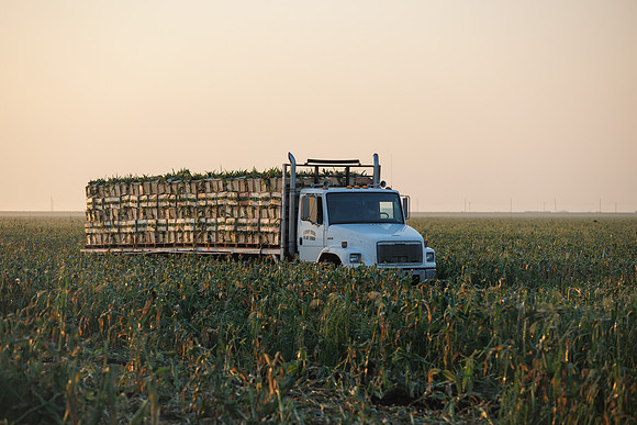 Seminis2022_FL_JEM_3