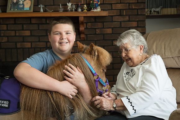 AmericasFarmers_HeartlandMiniHorses_341
