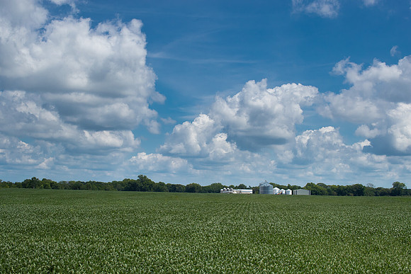 DavidNiekamp_292
