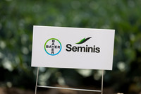 Global Prairie -Vegetables by Bayer