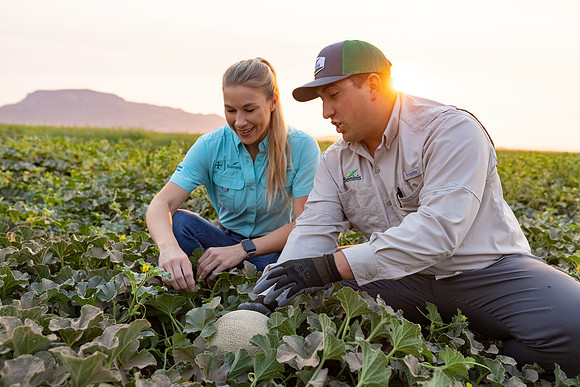 Seminis2021_AZ_544