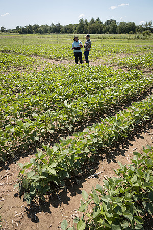 NL_Soybeans_072319_Carbondale_25