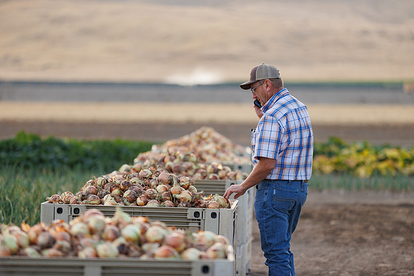 Seminis2022_Idaho_1781