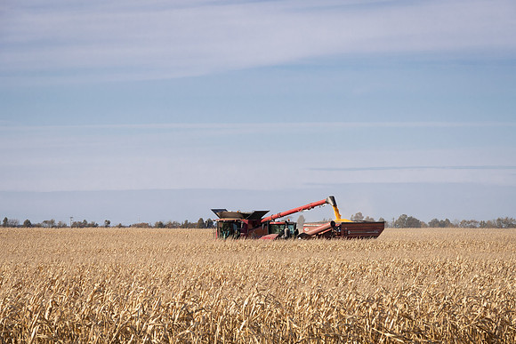 NL_Corn_Harvest_2019_c_175