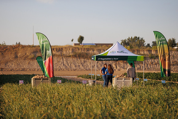 Seminis2022_Idaho_1443