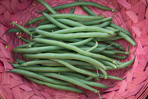 GreenBean_Sybaris_MX_0044