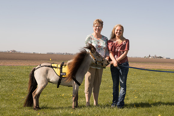 AmericasFarmers_HeartlandMiniHorses_660