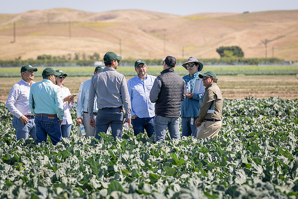 Seminis_SJB_FieldDay2025_1574