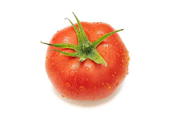Tomatoes_DRTH1053_96