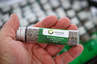 Ostara_cdp_22