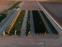 Seminis2022_Idaho_6