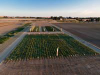 Seminis2022_Idaho_3