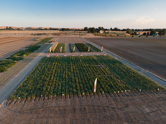 Seminis2022_Idaho_3