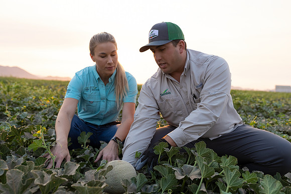 Seminis2021_AZ_496