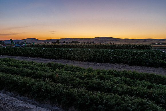 Seminis2022_Idaho_167-HDR