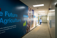 BCS_NA_StL_6736