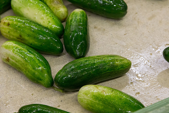 PicklingCucumber_Vlaspik_Processing_MI_0143