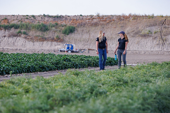 Seminis2022_Idaho_2344