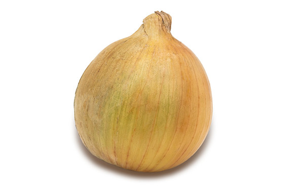 Onion_Fortress_7