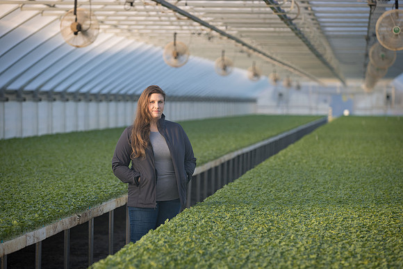 Seminis2022_FowlerPlant_4924