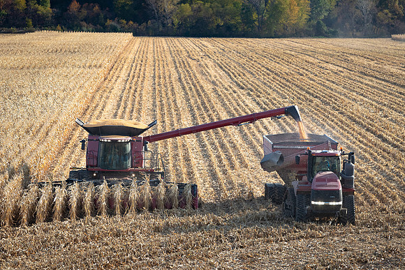 NL_Corn_Harvest_2019_c_466