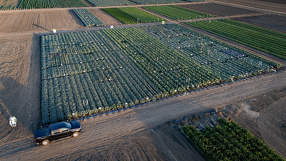 Seminis_SJB_FieldDay2025_1