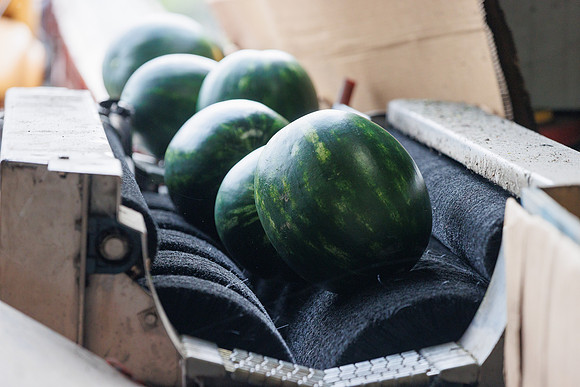 Seminis2022_FL_JEM_3539