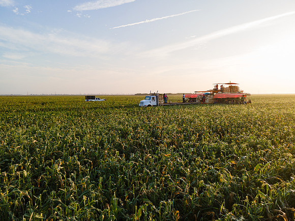 Seminis2022_FL_JEM_1195