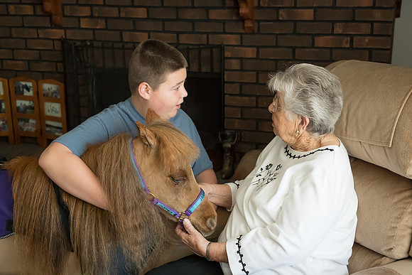 AmericasFarmers_HeartlandMiniHorses_309