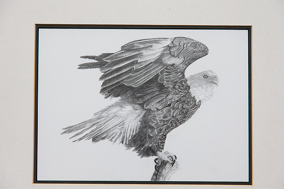 SueRoehm_066