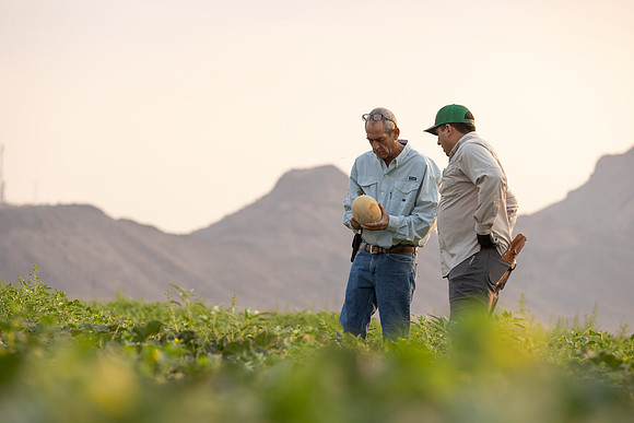 Seminis2021_AZ_1174