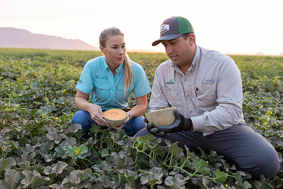 Seminis2021_AZ_429