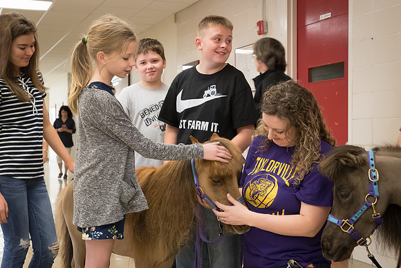 AmericasFarmers_HeartlandMiniHorses_533