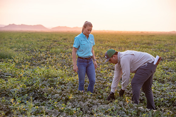 Seminis2021_AZ_592