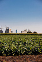 BensonHill_Creston_2022_70