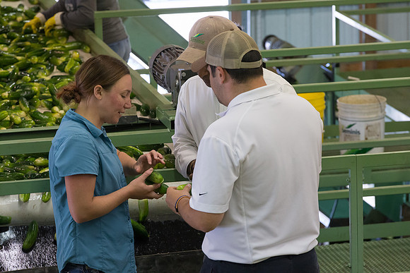 PicklingCucumber_Vlaspik_Processing_MI_0369