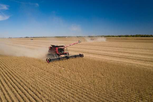 NL_Soybean_Harvest_2019_d_58