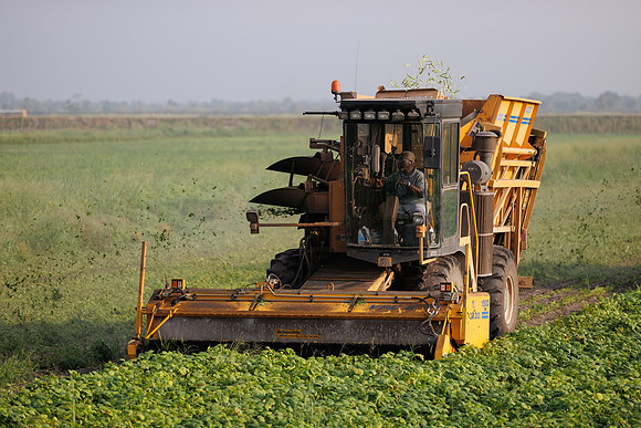 Seminis2022_FL_JEM_3394