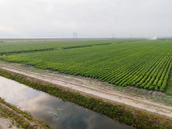 Seminis2022_FL_JEM_3750
