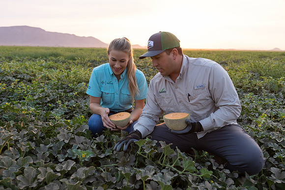 Seminis2021_AZ_412