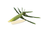 SweetCorn_SVSC2876_29