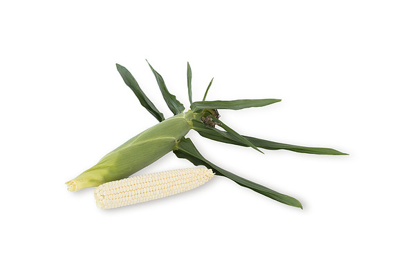 SweetCorn_SVSC2876_29