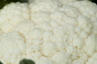 Cauliflower_Kurdivex_CA_0030