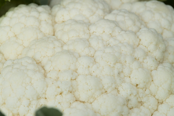 Cauliflower_Kurdivex_CA_0030