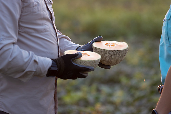 Seminis2021_AZ_244