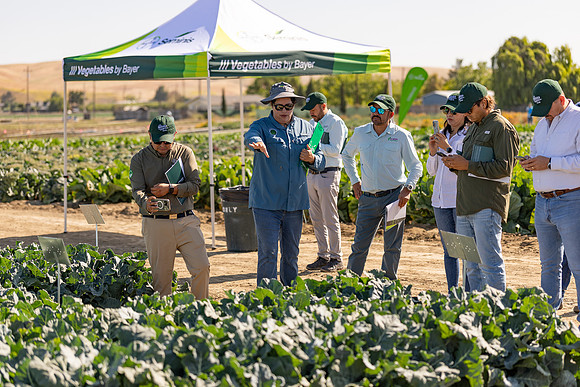 Seminis_SJB_FieldDay2025_1349