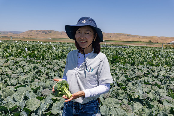 Stratosphere_Brocolli_92