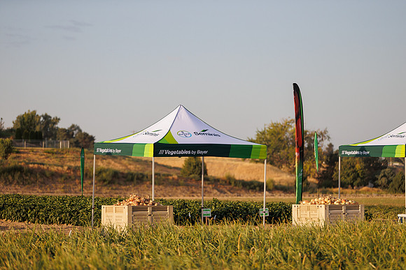 Seminis2022_Idaho_1449