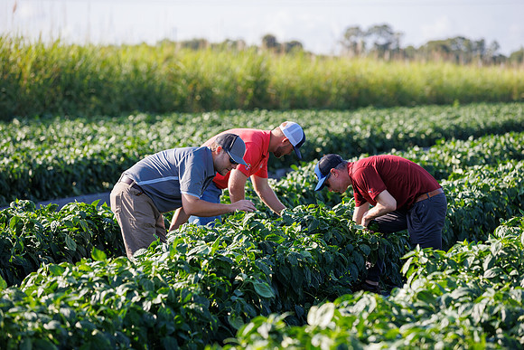 Seminis2022_FL_Bedner_138